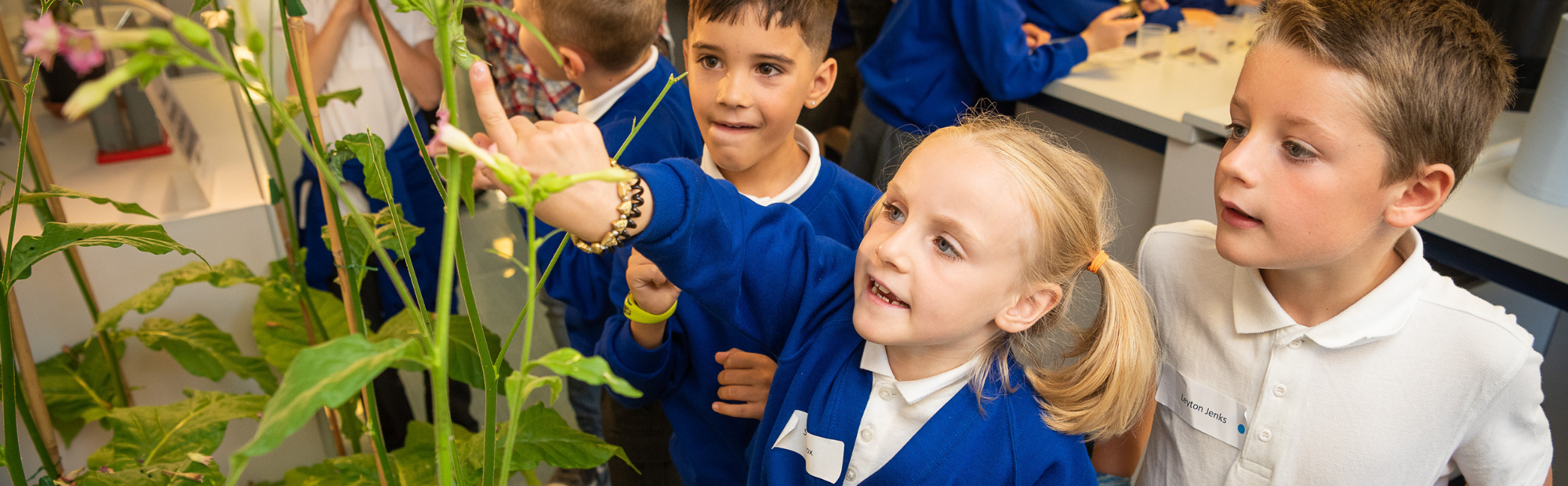Scientific curiosity is for all - Evolution Education Trust
