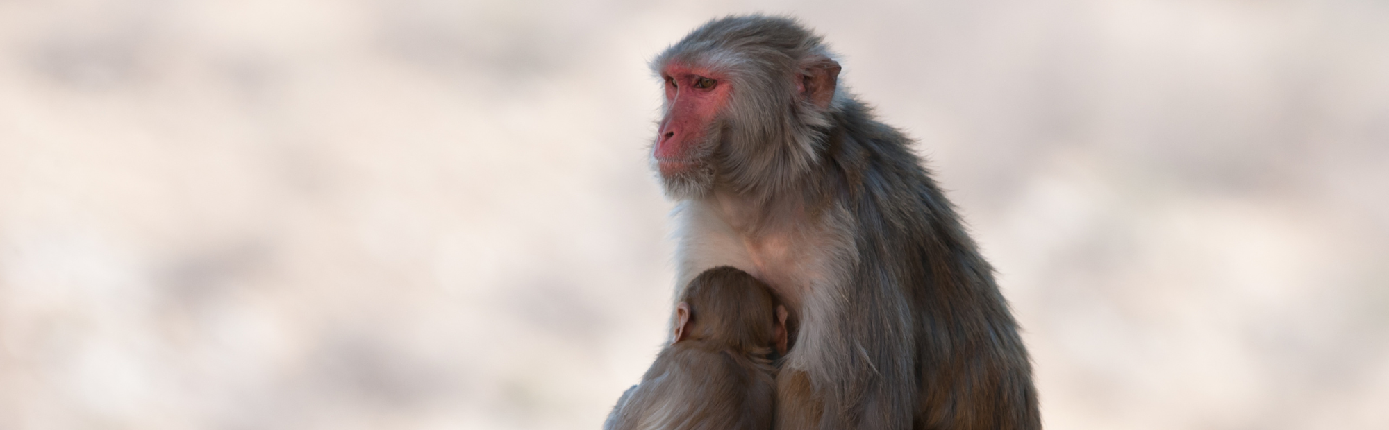 Imperial College London