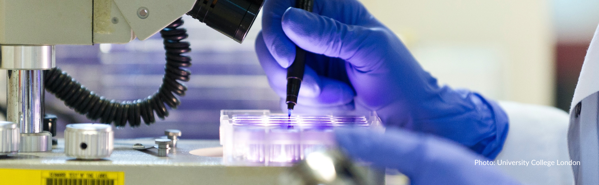 University College London cancer research