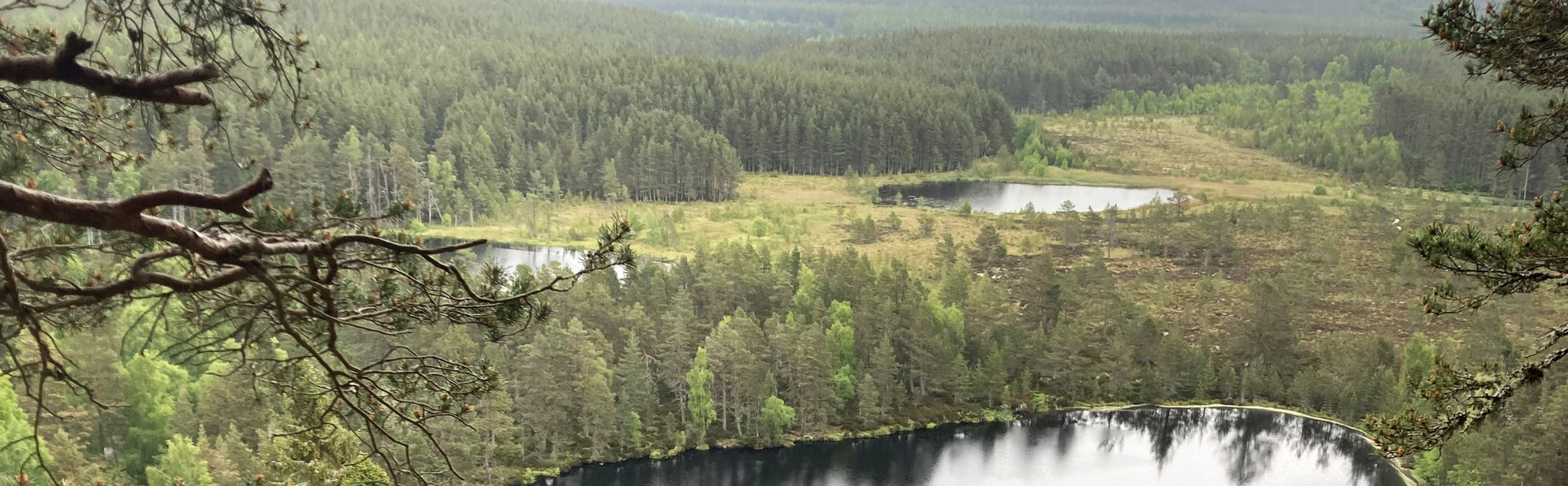 Rewilding Britain Innovation Fund